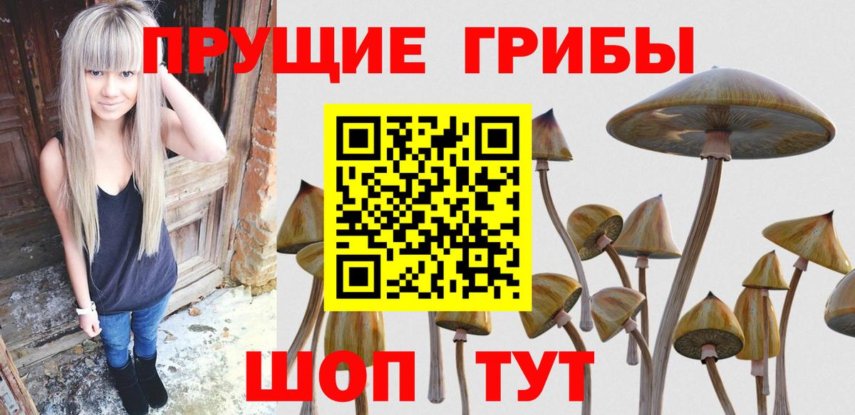 Галлюциногенные грибы мухоморы Сергиев Посад