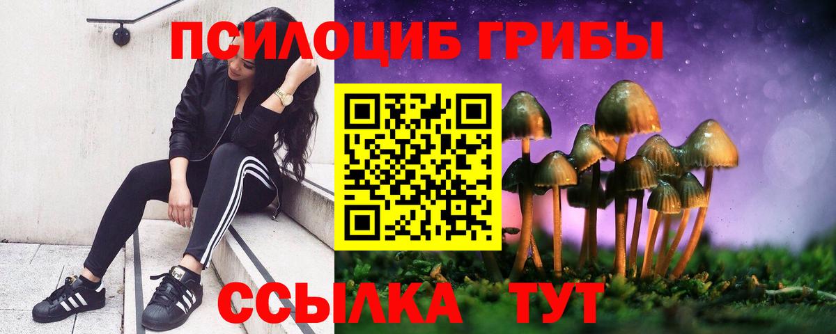 Галлюциногенные грибы мицелий  Вход с VPN  Псилоцибиновые грибы ЛСД  Сергиев Посад 